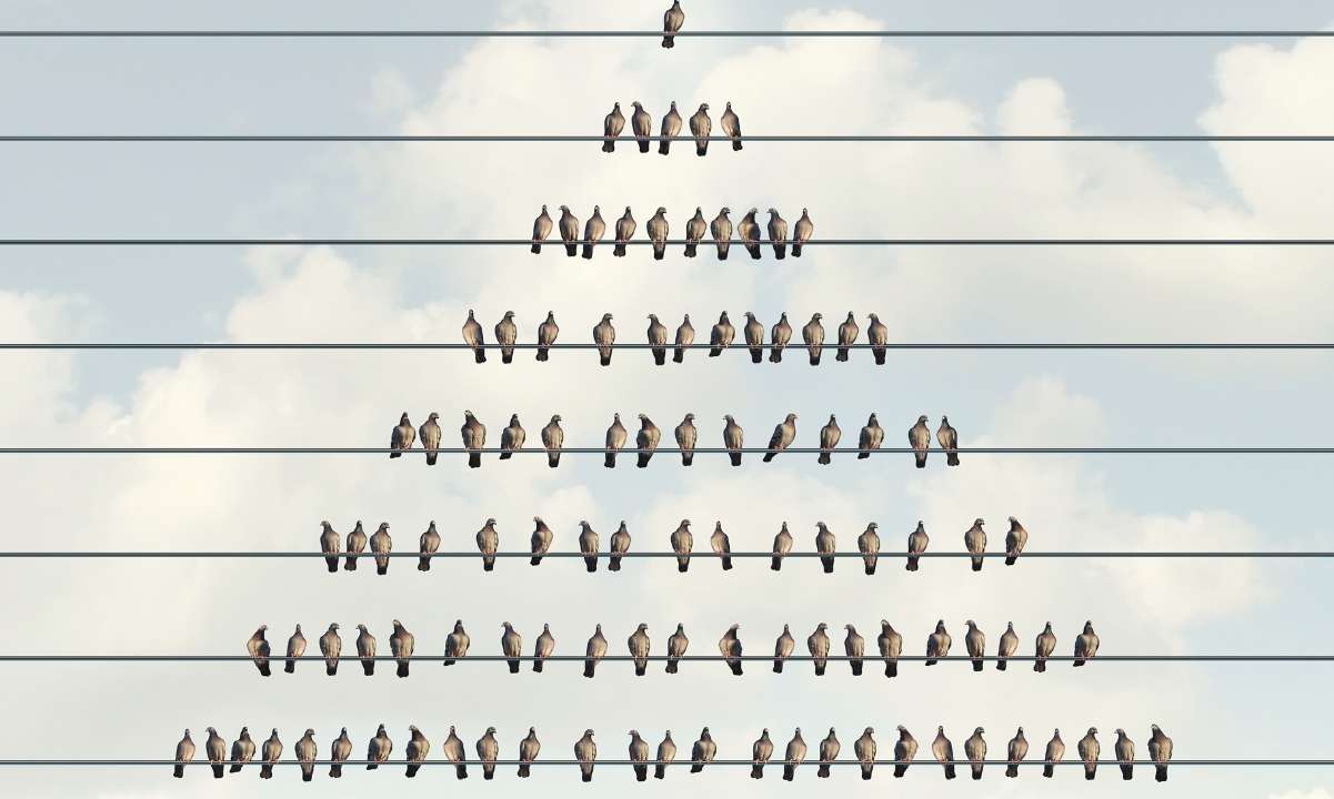 Комиссия по ценным бумагам и биржам (SEC) подала иск против компании Georgia Brothers о схеме Крипто Понци на сумму 60 миллионов долларов