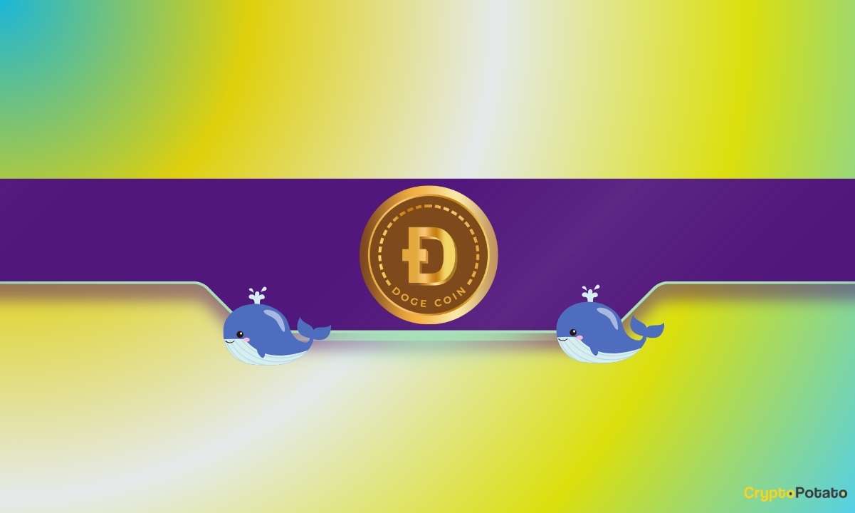 На прошлой неделе киты Dogecoin скупили более 2 миллиардов DOGE: ценовое ралли на подходе?