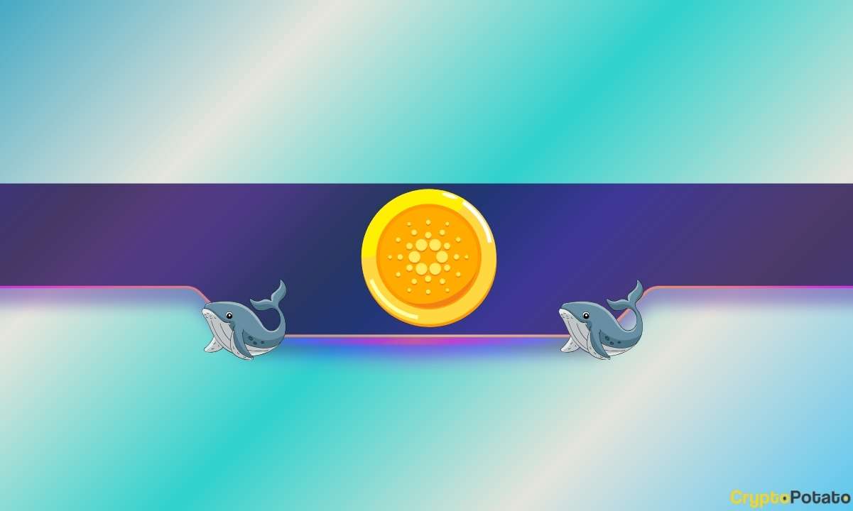 Кардано-киты продолжают покупать, готова ли ADA в следующий раз достичь отметки в 1,5 доллара?