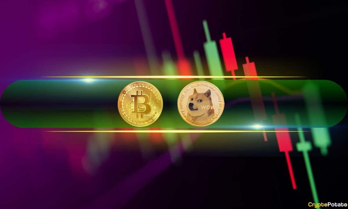 Dogecoin достиг нового 3,5-летнего пика, цена биткойнов упала ниже 100 тысяч долларов (обзор выходного дня)