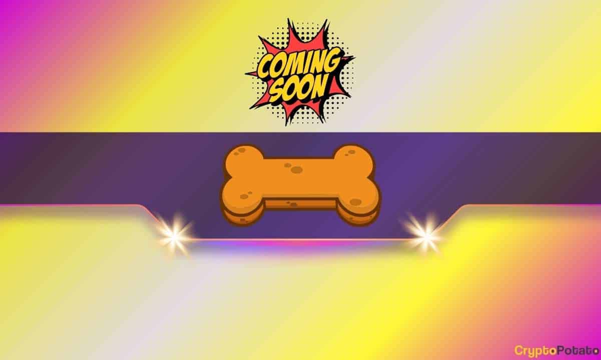 Вот когда эта мем-монета, связанная с сиба-ину, будет запущена в эксплуатацию