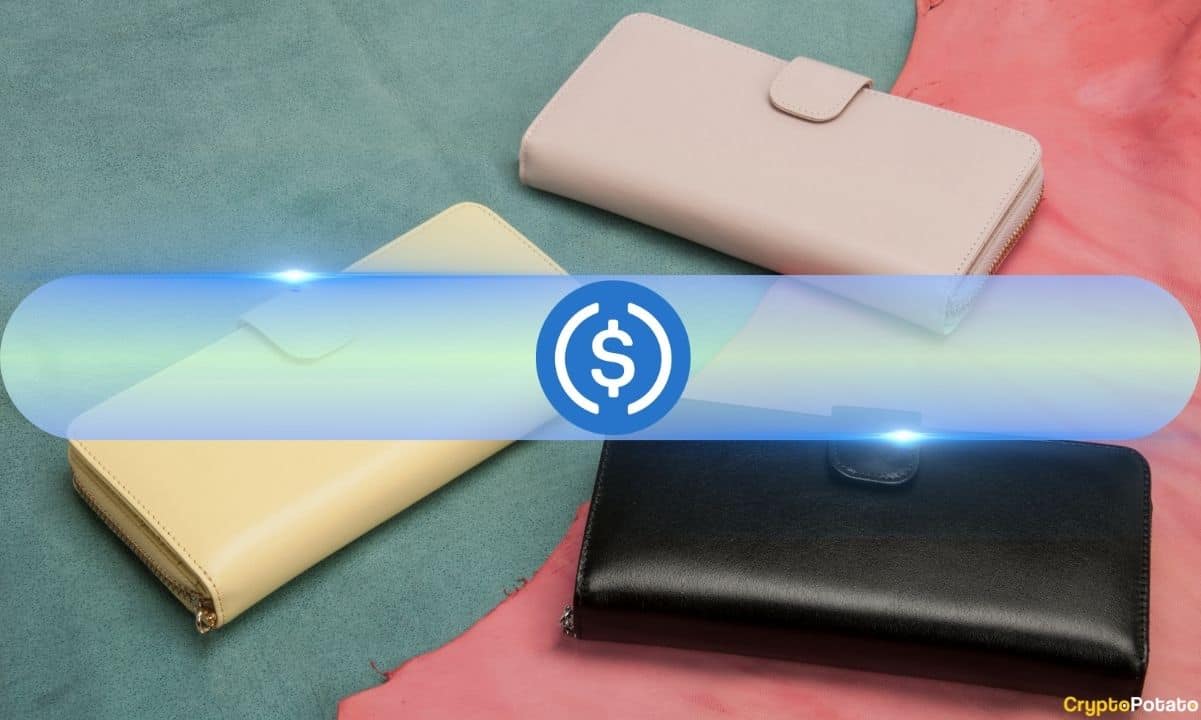 Предложение USDC выросло на 80% по сравнению с минимумами 2023 года: растет обращение в Solana и Ethereum Layer 2