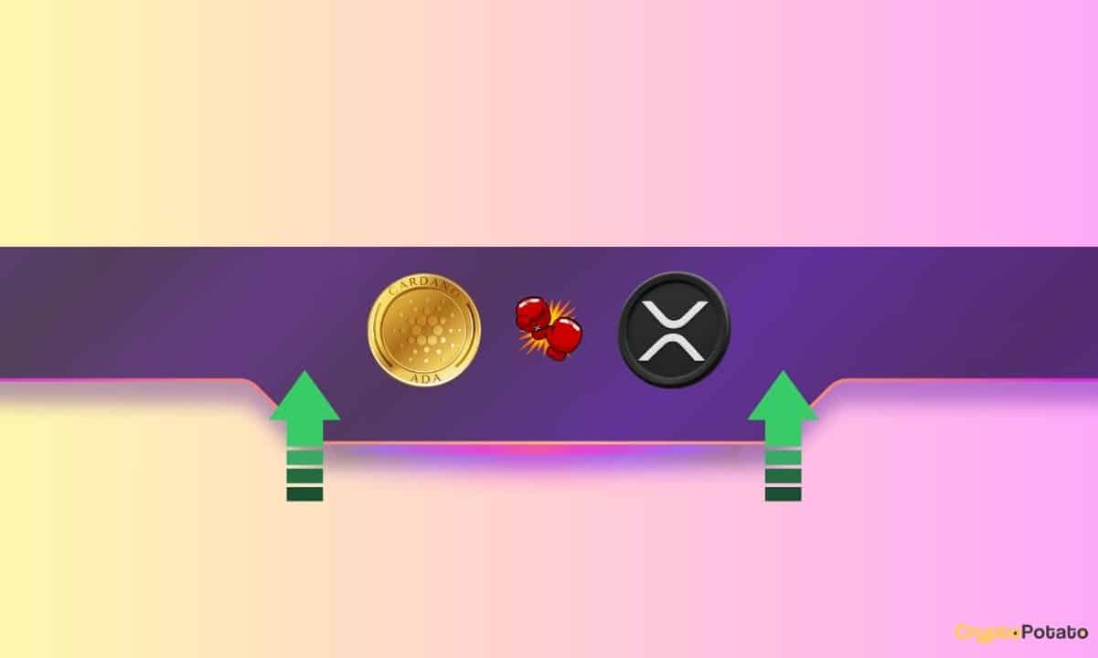 XRP Ripple против ADA Cardano: что будет лучше в 2025 году? (Ответы ChatGPT)