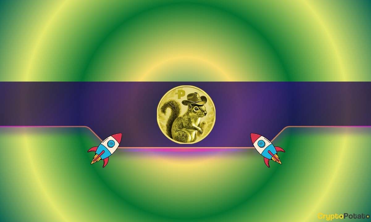 Белка Peanut the Squirrel (PNUT) растет на 30% ежедневно с началом торгов на Coinbase: подробности