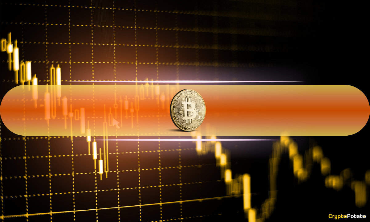 Более высокая инфляция встряхивает биткойн: могут ли киты подготовиться к извлечению выгоды от розничной чрезмерной реакции?