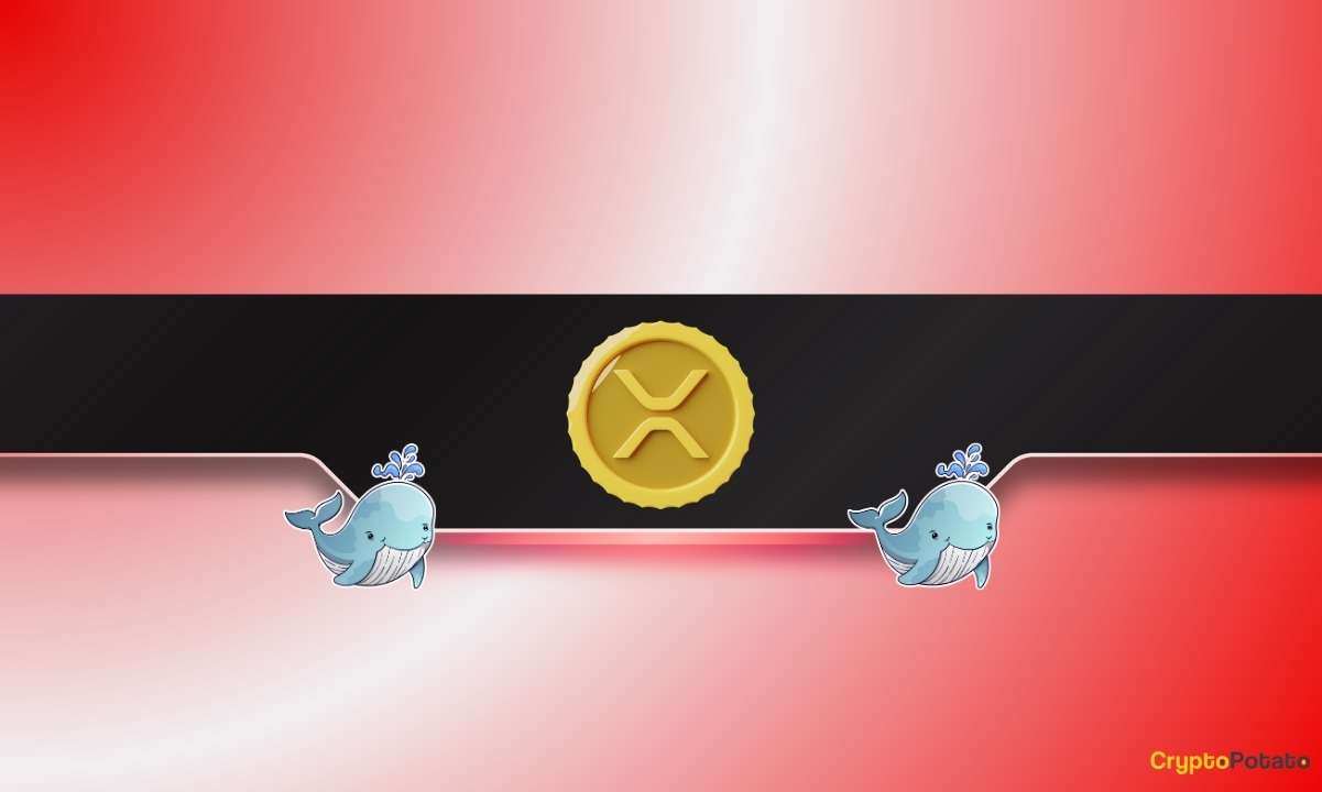 Продажа XRP за 800 млн. Долл. США: Ripple Whales сигнализируют о основном рыночном сдвиге?