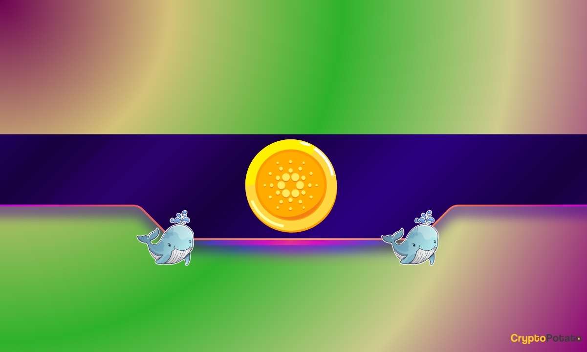 410 000 000 ADA в месяц: киты продолжают накапливаться, поэтому, когда кардано всплеск?