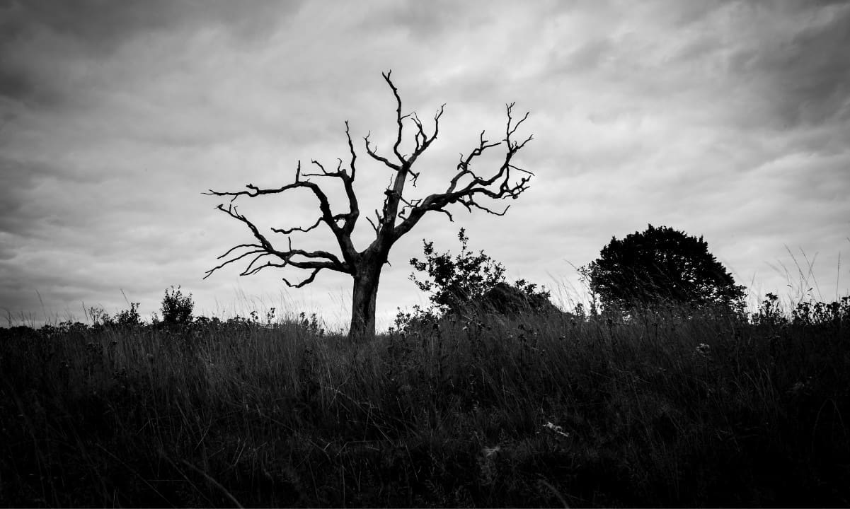 Криптовалютный переизбыток превращается в кладбище: в первом квартале 2025 года исчезло 1,8 млн токенов