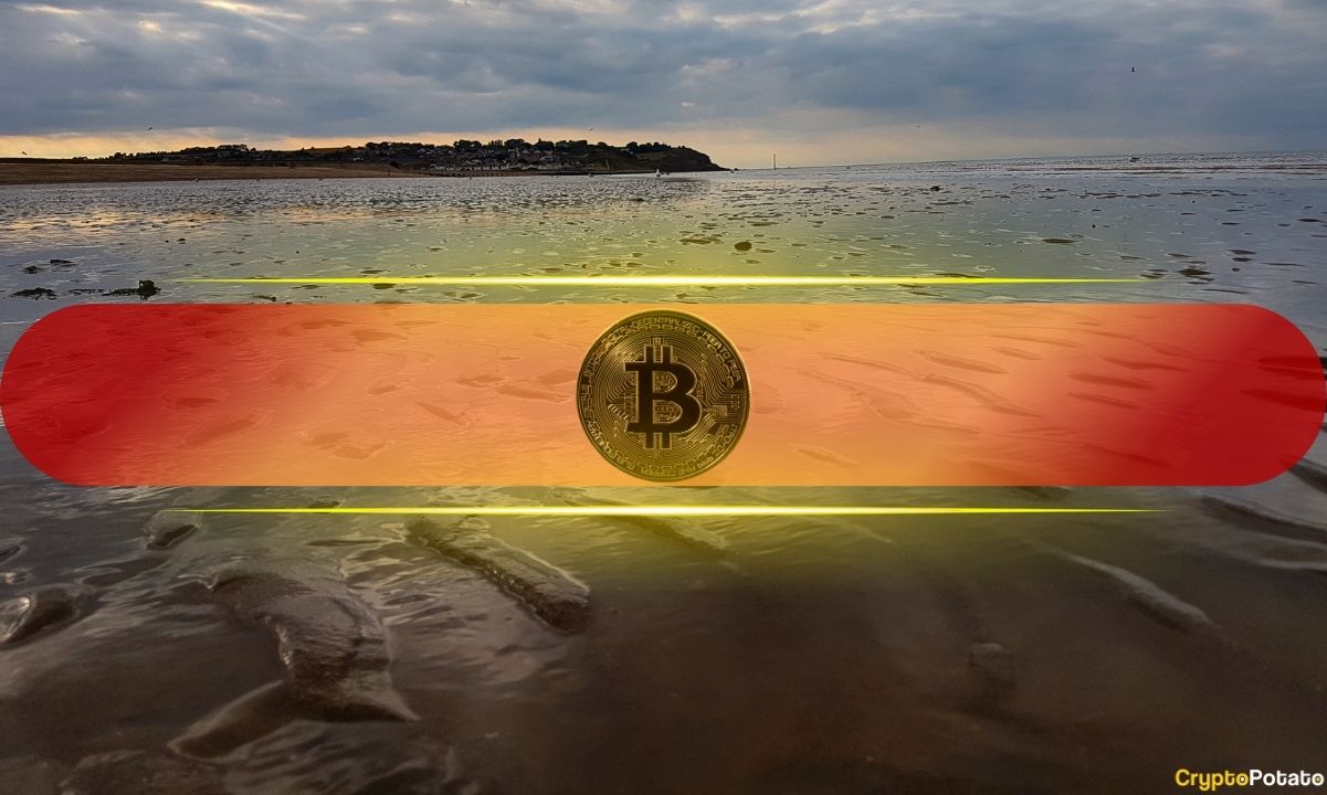 Фонды цифровых активов добавляют 224 млн долларов, но инвестиционный импульс медленно