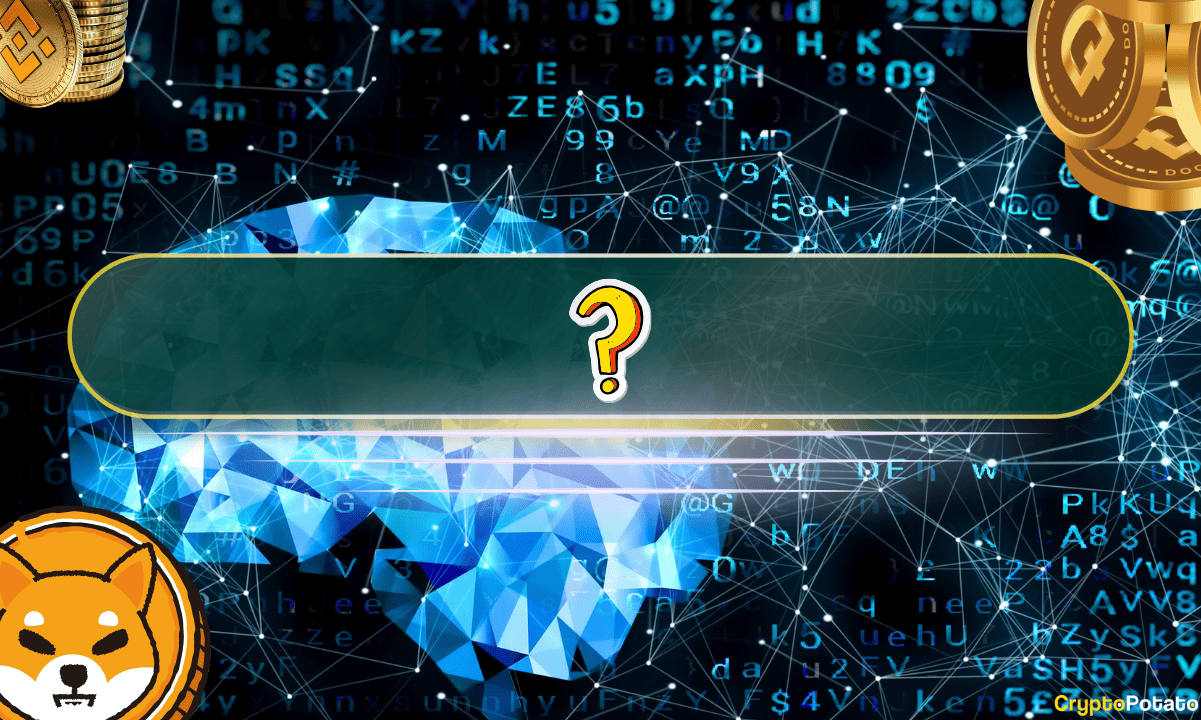 Лучшие криптографии для просмотра: они готовы к прорыву в соответствии с данными