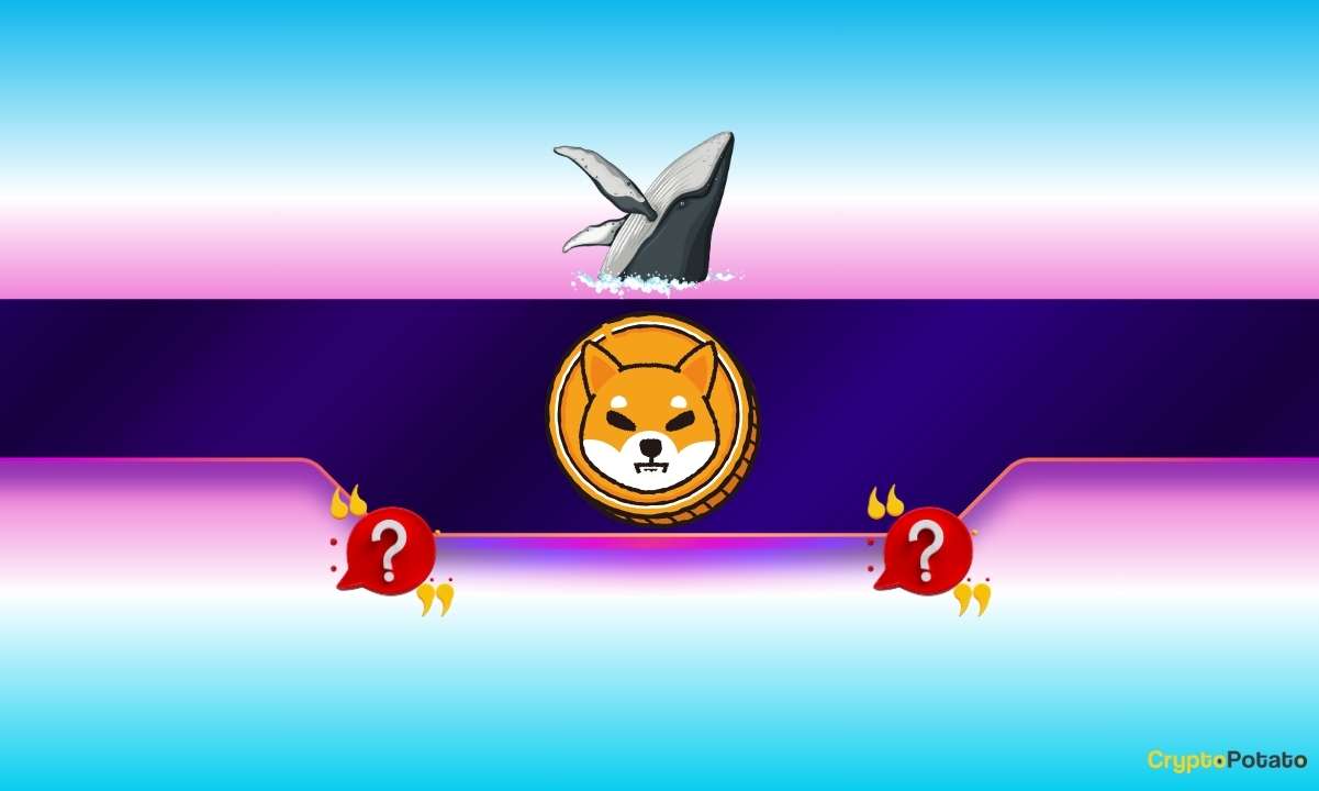 Shiba Inu (Shib) опережает Ethereum (Eth) и Pepe (Peepe): но не так, как вы думаете