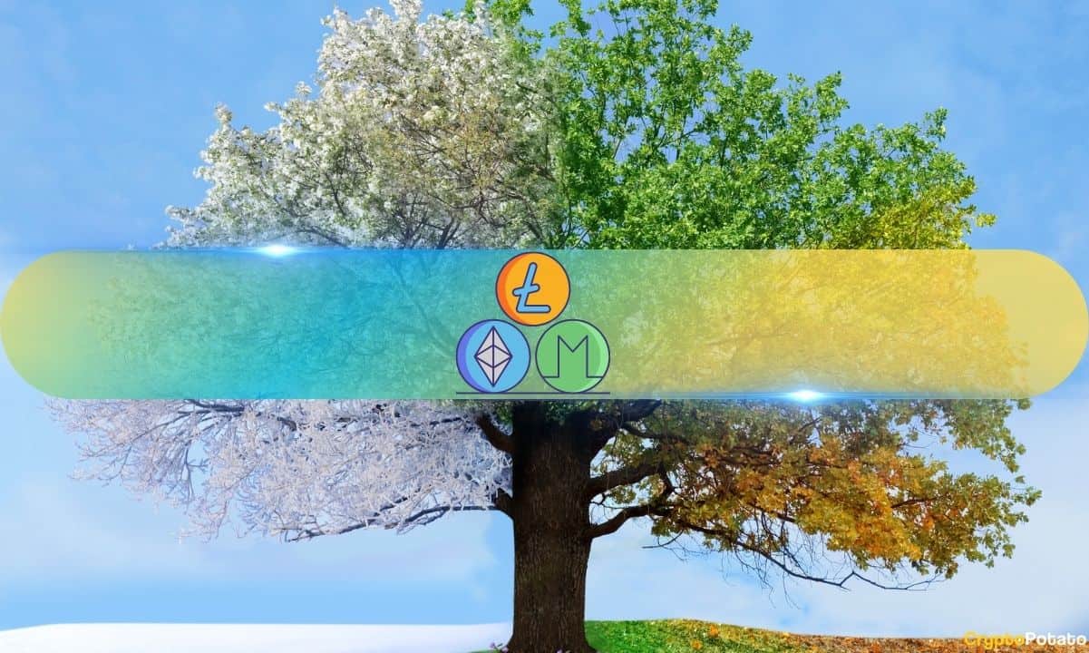 Аналитик: Skip Bitcoin Fomo, Altcoins предлагает лучшие выгоды сейчас