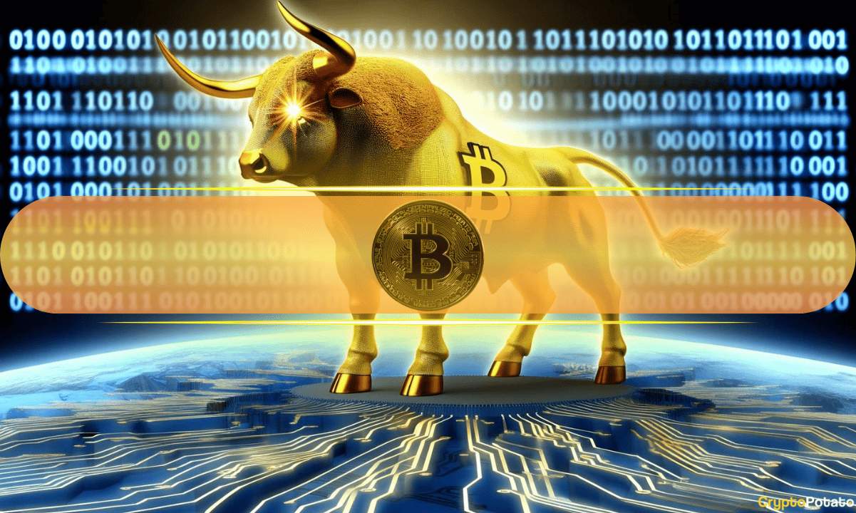 Будучи ли ралли BTC с помощью точечного или зарегистрированного спроса? GlassNode весит