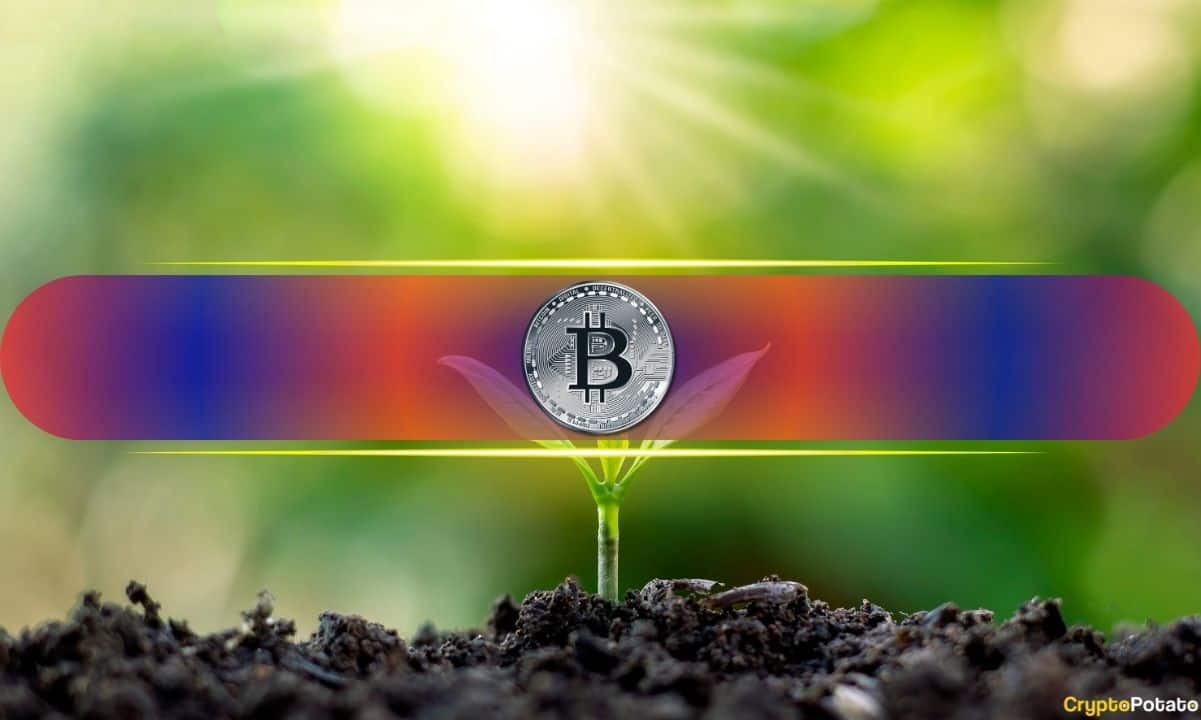 Биткойнская цена нигде не перегревается, несмотря на рост до 123 тыс. Долл. США: криптовал