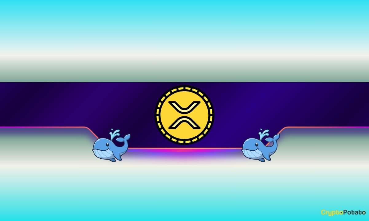 Массивное накопление волнного кита подпитывает xrp upping к новым ATHS