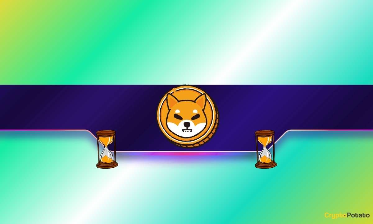 Шиба Ину (Шиб) шипится на 15% еженедельно - так почему большинство держателей все еще проигрывают?