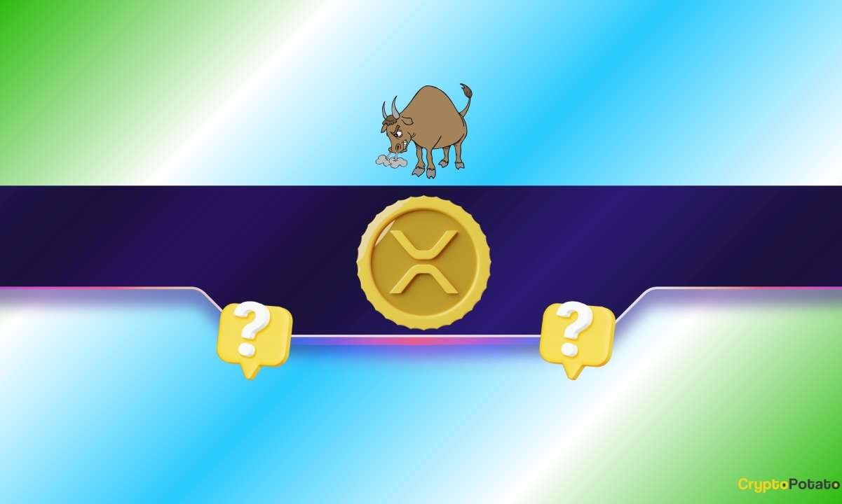 Мы спросили Chatgpt, Grok и Claude: xrp Bull работает в 2025 году?