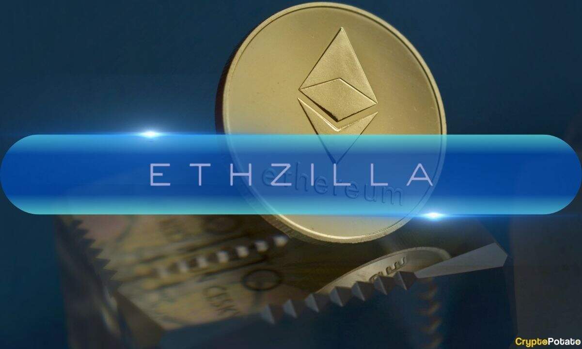 Внутри генерального плана Ethzilla по созданию истинной кривой урожайности Ethereum (эксклюзивное интервью)