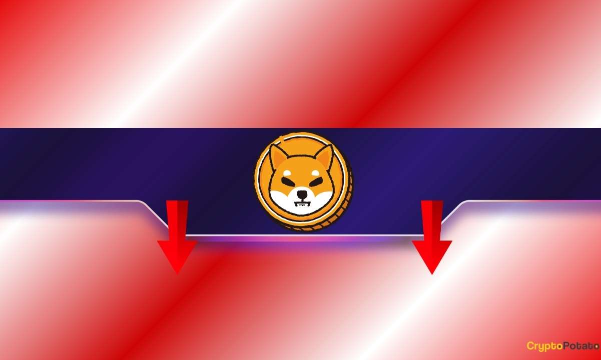 Этот показатель Shiba Inu (Shib) падает на многомесячный минимум: больше боли впереди?