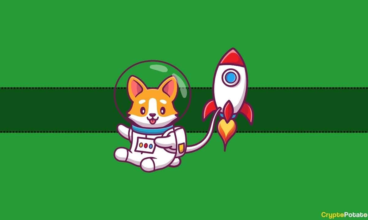 BONK нацелены на 100% ралли после начала повторного тестирования на вырез