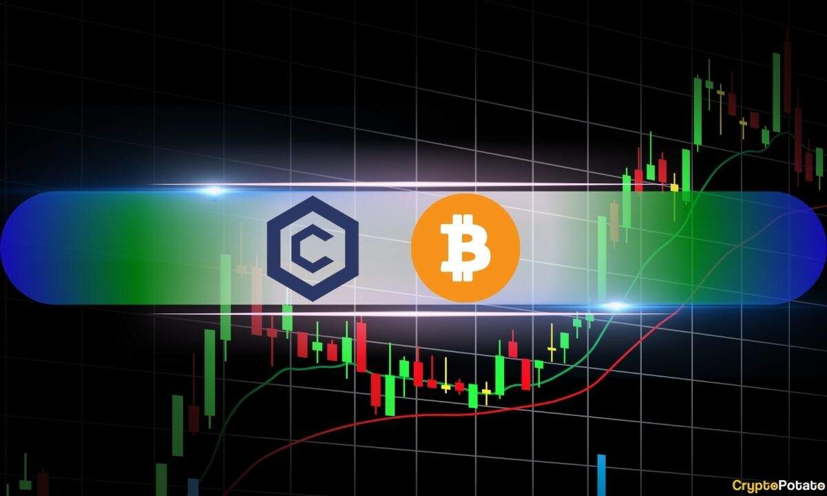 Кро летит до 3-летнего максимума в 0,38 долл. США, так как цена BTC затрагивает 113 тыс. Долл. США: рыночные часы