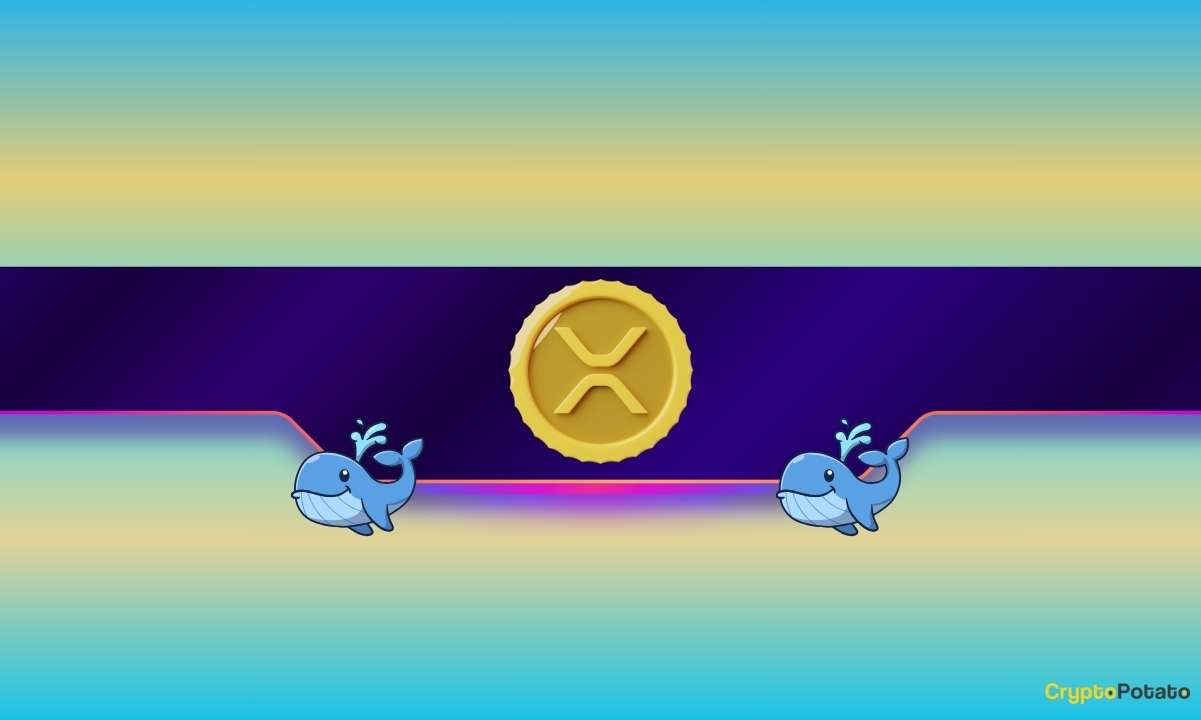 Будет ли эта решающая поддержка, наконец, остановит свободный падение XRP, когда вернутся Ripple Whales?