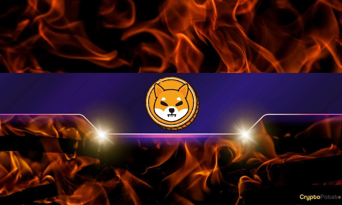 Shiba Inu Surgep Scirockets 200 000% за 24 часа - дальше расход в цену?