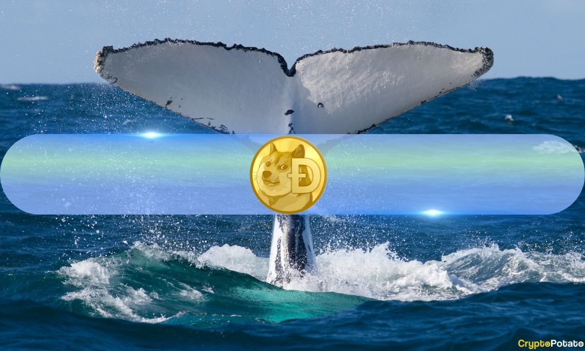 Как Doge Whales реагируют на возможный Dogecoin ETF? Santiment весит