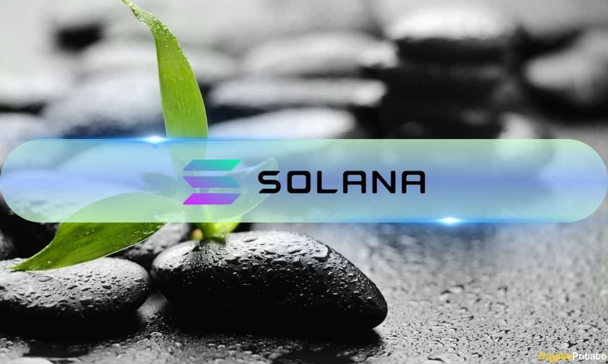 Solana (Sol) имеет идеальный рецепт для массивного ралли, Bitwise 'Matt Hougan