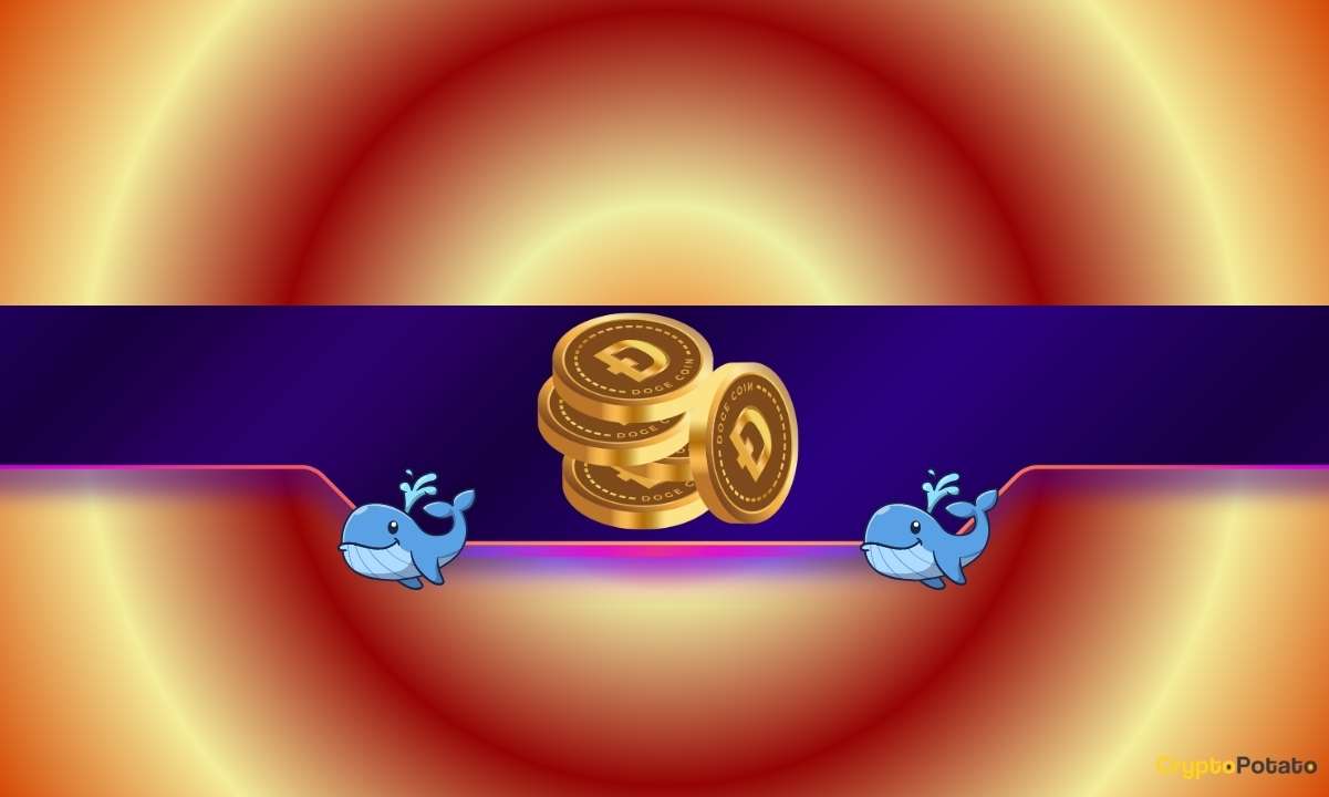 680 000 000 000 Doge разгружены за 4 дня: что такое киты сигнализирует?