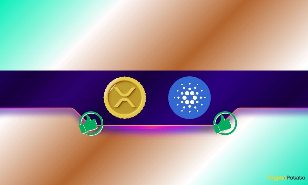 Кардано Хоскинсон выкрикивает Ripple и xrp Army: вот почему