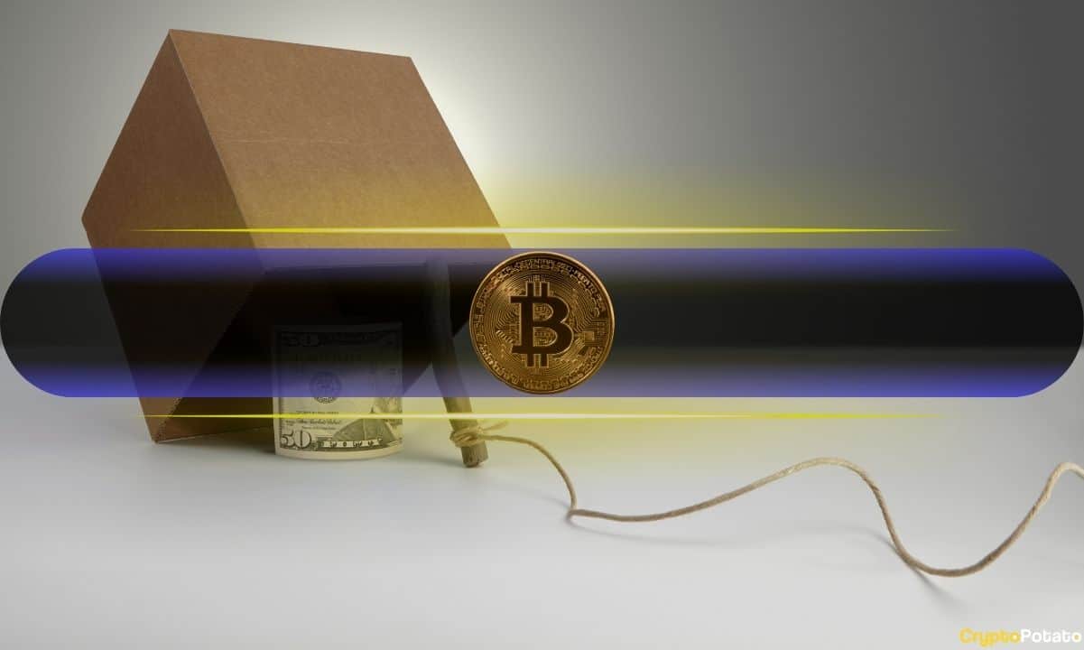 Биткойн (BTC) Rally-это ловушка для новых покупателей, так как эксперт предупреждает истощение цикла