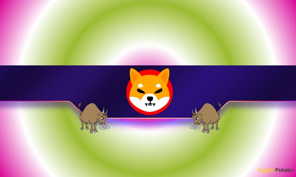 3 причины, по которым Шиба Ину (Шиб) может быть готова к митию