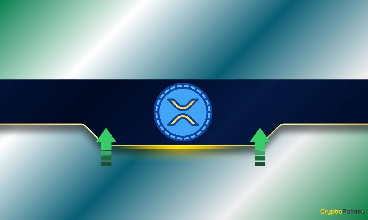 Массивное рентгеновское перемещение вход: смотрите, как этот шаблон разыгрывается для Ripple