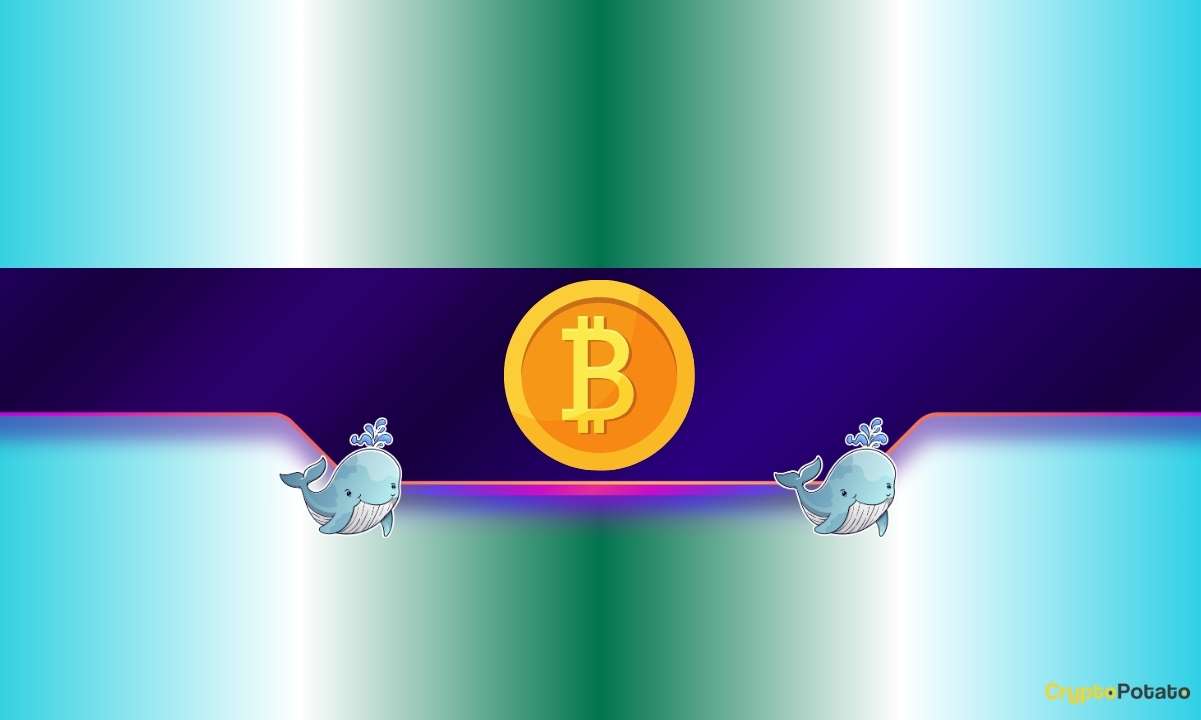 30 000 биткойнов, купленных китами за 7 дней: что дальше по цене BTC?