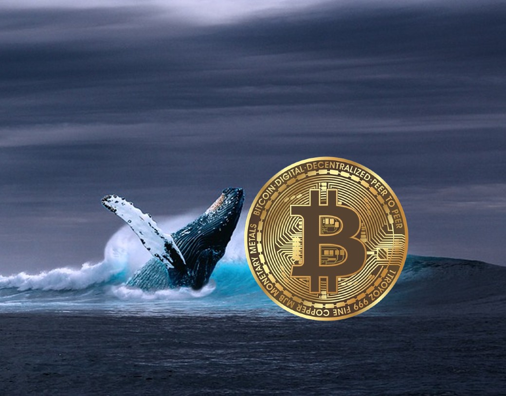 Top 10 bitcoin whales 2. Биткоин кит. Кит биткойн. Bitcoin Whale.