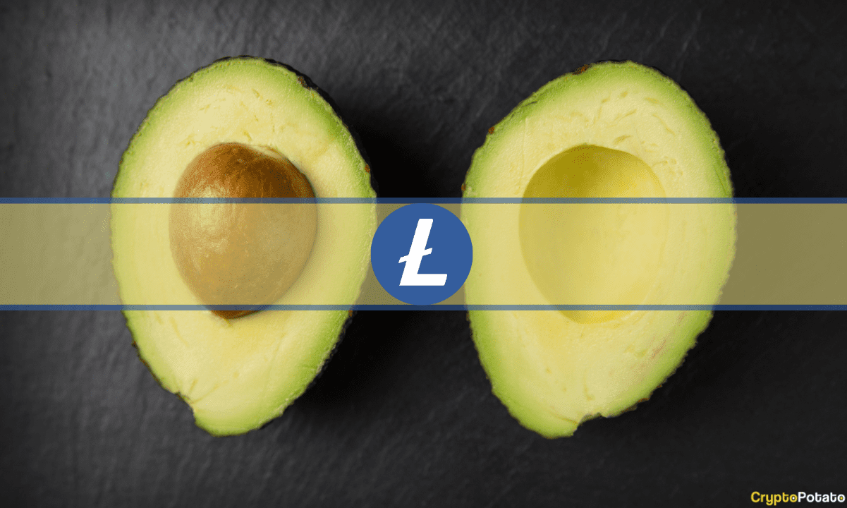 Litecoin переживает третье сокращение в два раза, а LTC падает на 6%: Почему?