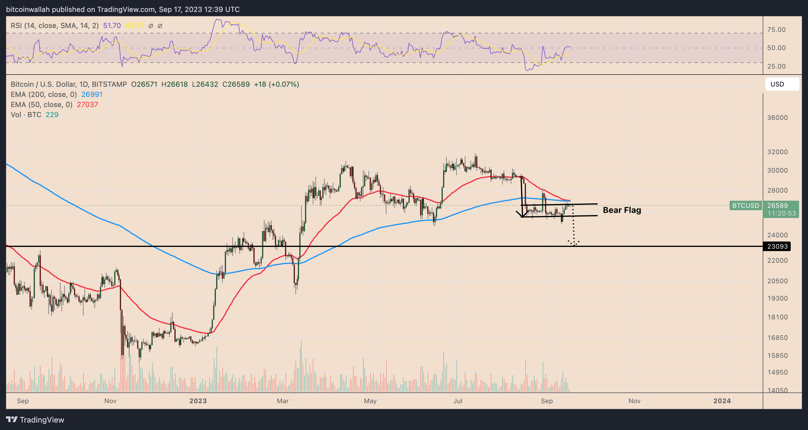Дневной график цены BTC/USD ft. пробой медвежьего флага. Источник: TradingView